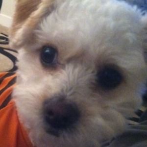 Meet your Posher, Tammy